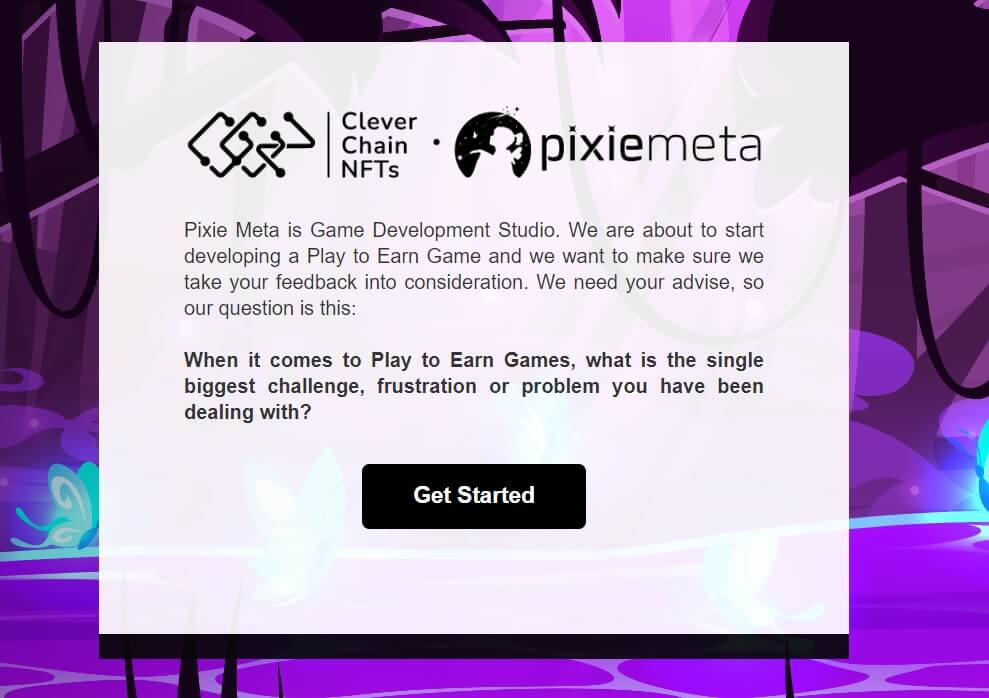 Pixiemeta Survey Details