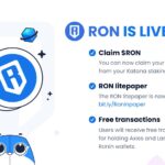 RON is Live — Here is the Future of the Ronin Blockchain