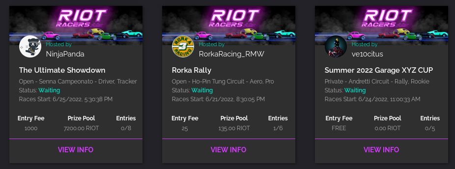 RiotRacers 3d race tournament sample