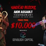 Undead Blocks AKM Assault banner