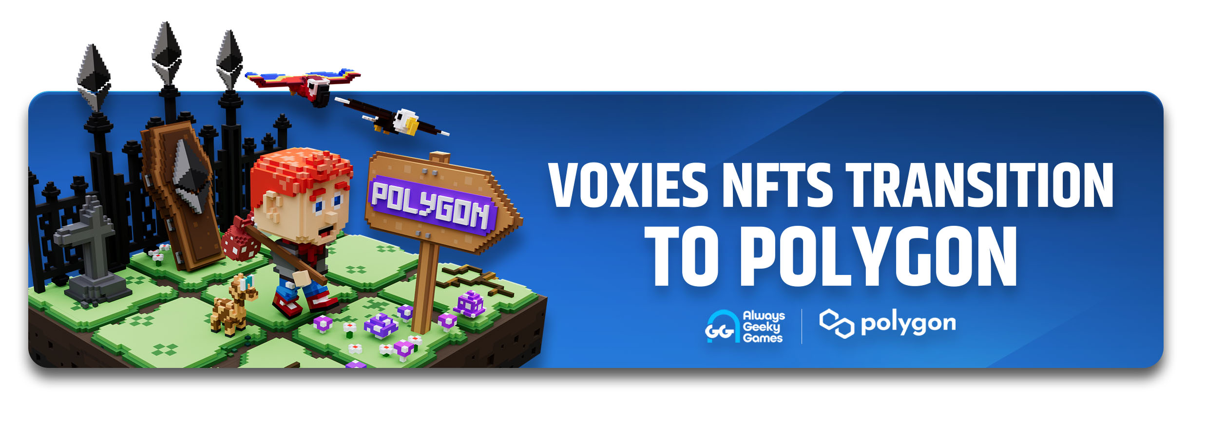 Voxies Polygon banner
