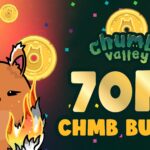 Chumbi Valley Burns 70M CHMB Tokens
