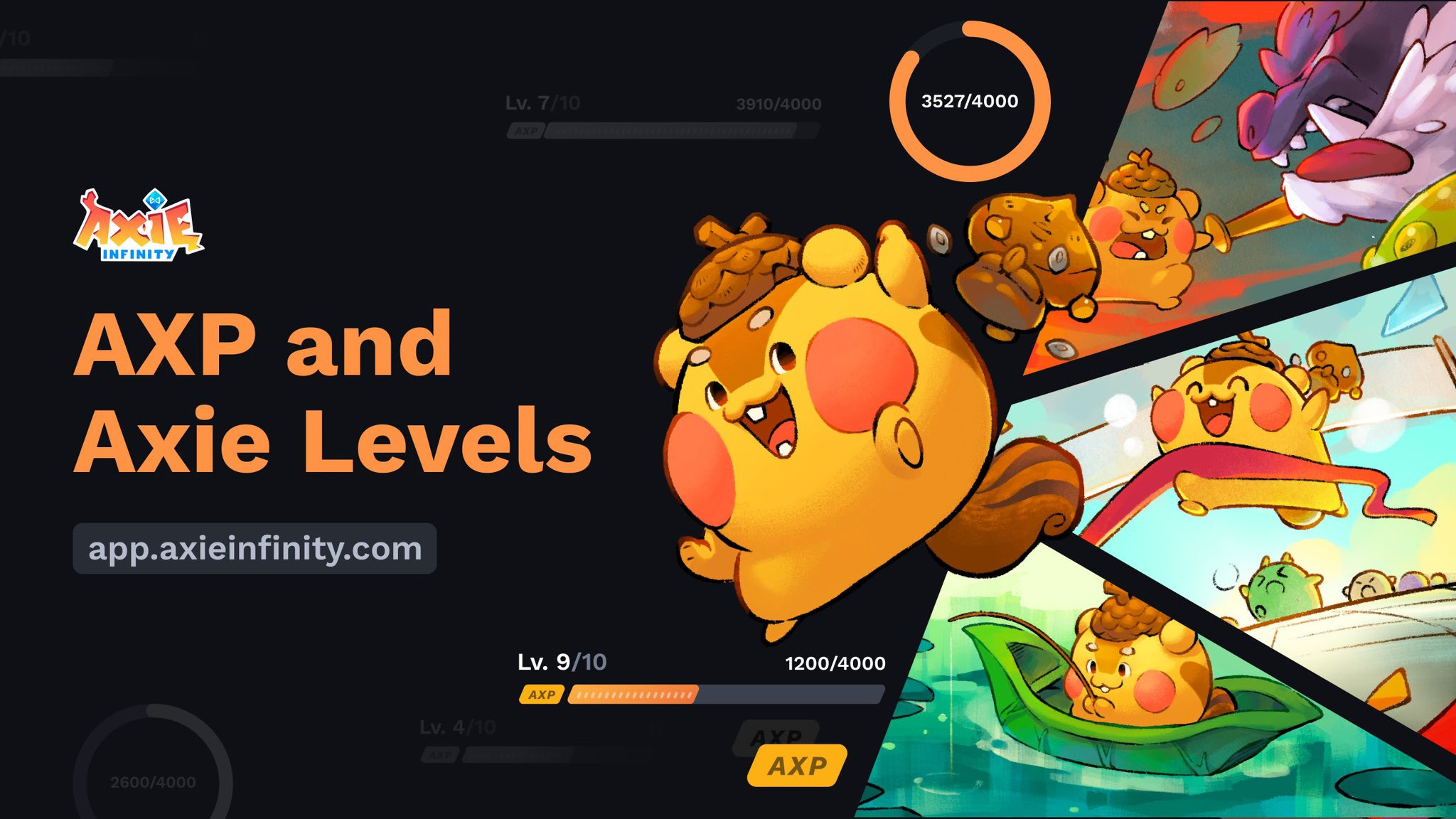 Axie Experience banner
